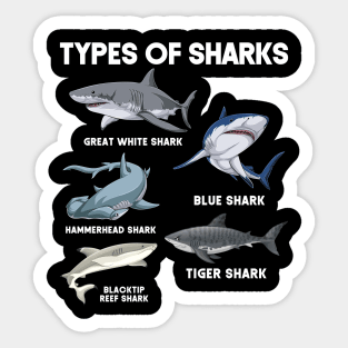 Types of Sharks Sticker